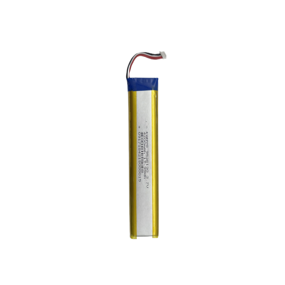 DPVR Replacement Battery - P1 Series Accessories